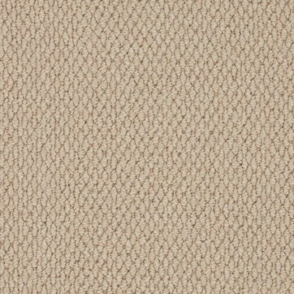Primo Textures Roll Stock Carpet in Chalice