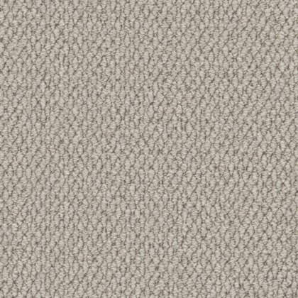 Primo Textures Roll Stock Carpet in Moon Mist
