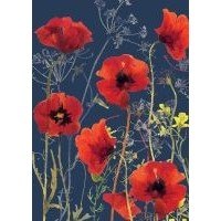 Otter House Watercolour Poppies Pack of 6 Mini Notecards