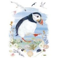 Otter House Puffin Pack of 6 Mini Notecards