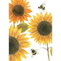 Otter House Beautiful Sunflower Blooms Pack of 6 Mini Notecards