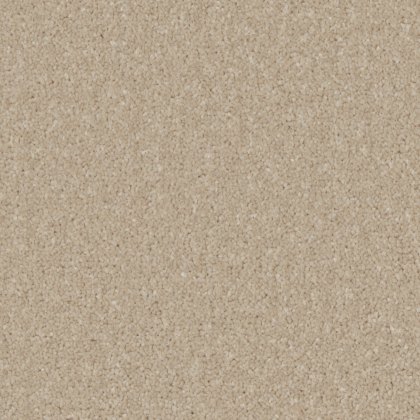Trentino Elite Carpet in Bay Light Trentino Elite Carpet in Bay Light