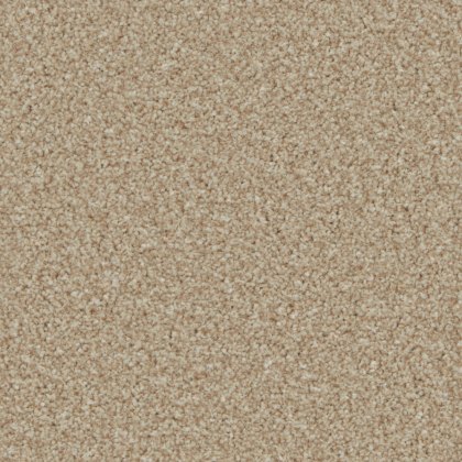 Trentino Elite Carpet in Caracal Trentino Elite Carpet in Caracal