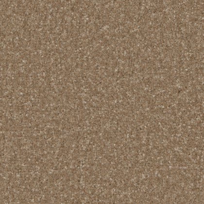 Trentino Elite Carpet in Cedar Trentino Elite Carpet in Cedar