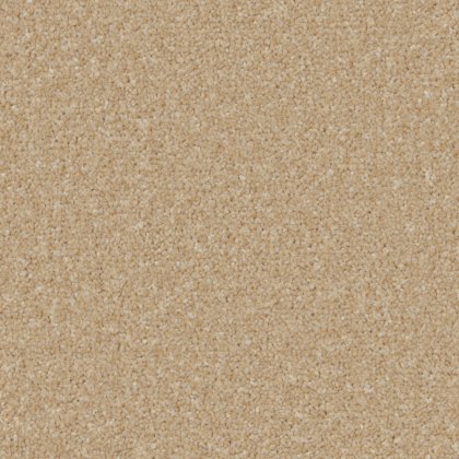 Trentino Elite Carpet in Hayseed Trentino Elite Carpet in Hayseed