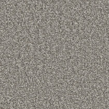 Trentino Elite Carpet in Iron Ore Trentino Elite Carpet in Iron Ore