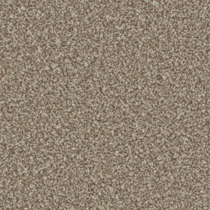 Trentino Elite Carpet in Kernel Trentino Elite Carpet in Kernel