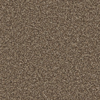 Trentino Elite Carpet in Mocha Trentino Elite Carpet in Mocha
