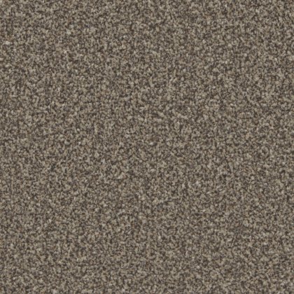 Trentino Elite Carpet in Molasses Trentino Elite Carpet in Molasses