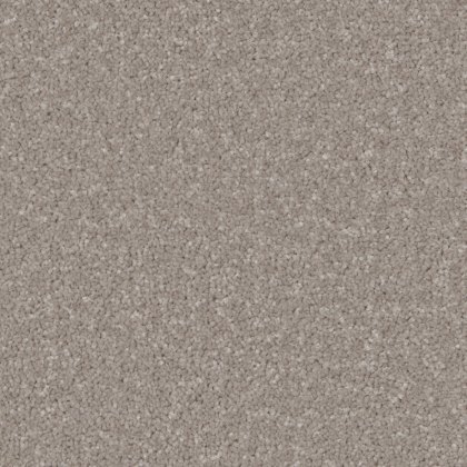 Trentino Elite Carpet in Mushroom Trentino Elite Carpet in Mushroom