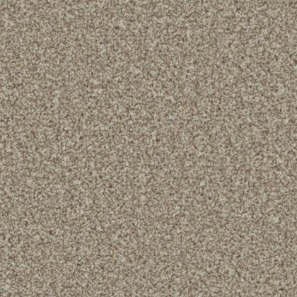 Trentino Elite Carpet in Pale Oak Trentino Elite Carpet in Pale Oak