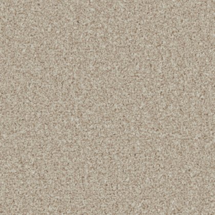 Trentino Elite Carpet in Woodbrook Trentino Elite Carpet in Woodbrook