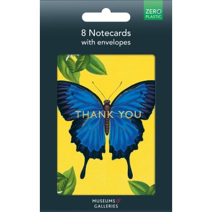Ulysses Butterfly Pack of 8 Thank You Notecards