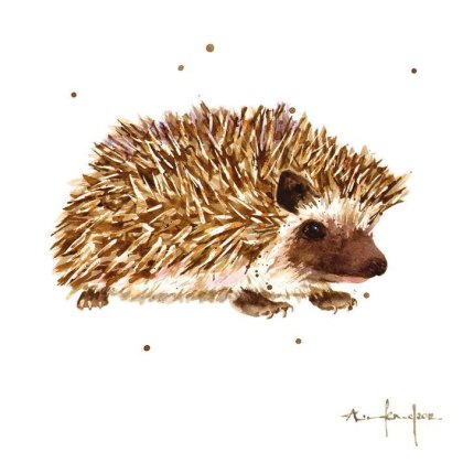 Alison's Ark British Wildlife Pack of 16 Notecards