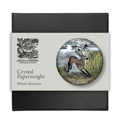 Young Hare Paperweight