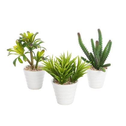 Floralsilk Assorted Potted Succulent Floralsilk Assorted Potted Succulent