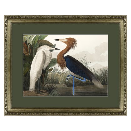 Artko Purple Heron Artko Purple Heron