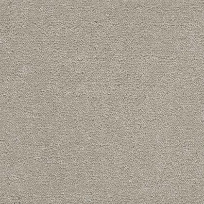 Highgate Finesse Carpet in Dove Highgate Finesse Carpet in Dove