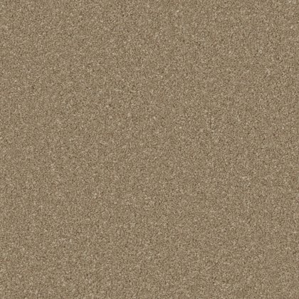 Zenith carpet in Dark Taupe Zenith carpet in Dark Taupe