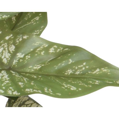 Kaemingk Faux Potted Plant