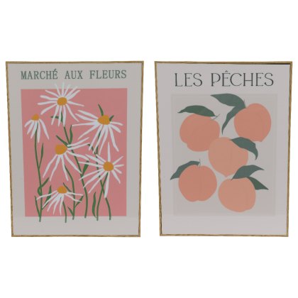 Kaemingk Framed Illustrative Print Kaemingk Framed Illustrative Print