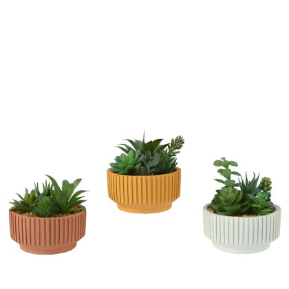 Kaemingk Faux Succulent in Pot Kaemingk Faux Succulent in Pot