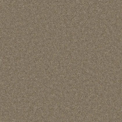 Timeless Classic Carpet in Dawlish Driftwood Timeless Classic Carpet in Dawlish Driftwood