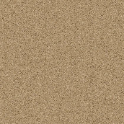 Timeless Classic Carpet in Mild Malt Timeless Classic Carpet in Mild Malt