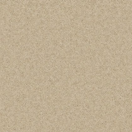 Timeless Classic Carpet in Pure Pebble Timeless Classic Carpet in Pure Pebble