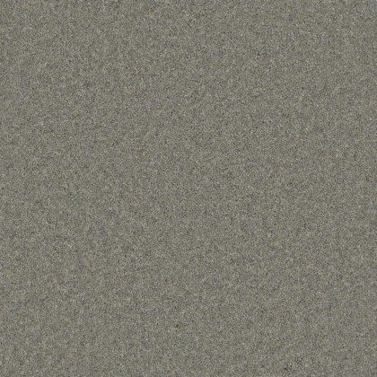 Timeless Classic Carpet in Rocky Ridge Timeless Classic Carpet in Rocky Ridge