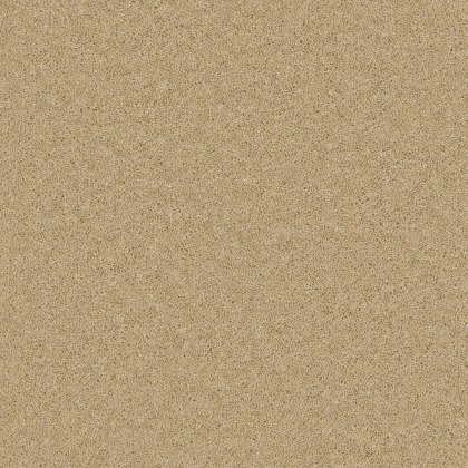Timeless Classic Carpet in Sand Salt Timeless Classic Carpet in Sand Salt