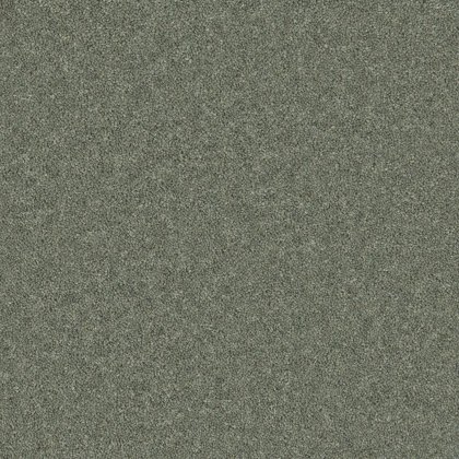 Timeless Classic Carpet in Soft Seaweed Timeless Classic Carpet in Soft Seaweed
