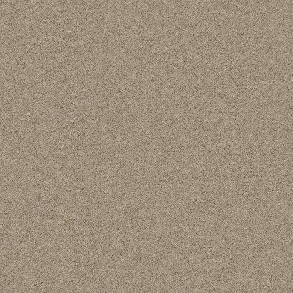Timeless Classic Carpet in Tranquil Truffle Timeless Classic Carpet in Tranquil Truffle