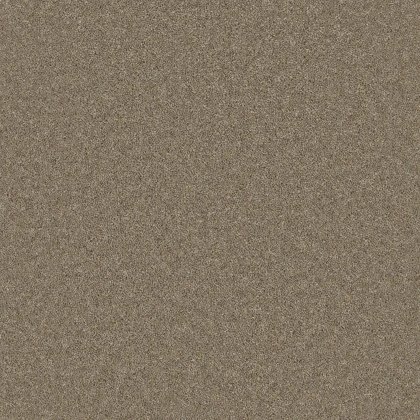 Timeless Deluxe Carpet in Dawlish Driftwood Timeless Deluxe Carpet in Dawlish Driftwood