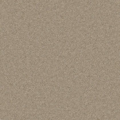 Timeless Deluxe Carpet in Fleeting Fawn Timeless Deluxe Carpet in Fleeting Fawn