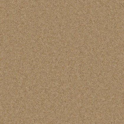Timeless Deluxe Carpet in Hessian Hue Timeless Deluxe Carpet in Hessian Hue