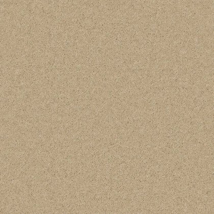 Timeless Deluxe Carpet in Light Lace Timeless Deluxe Carpet in Light Lace