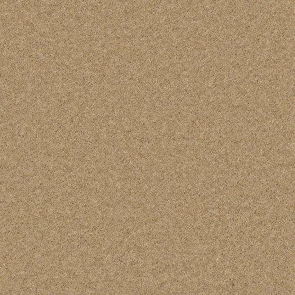 Timeless Deluxe Carpet in Mild Malt Timeless Deluxe Carpet in Mild Malt