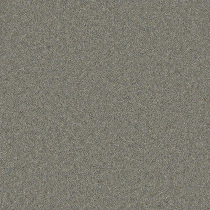 Timeless Deluxe Carpet in Rocky Ridge Timeless Deluxe Carpet in Rocky Ridge