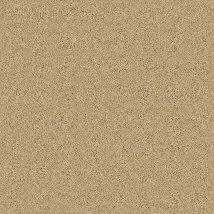 Timeless Deluxe Carpet in Sand Salt Timeless Deluxe Carpet in Sand Salt