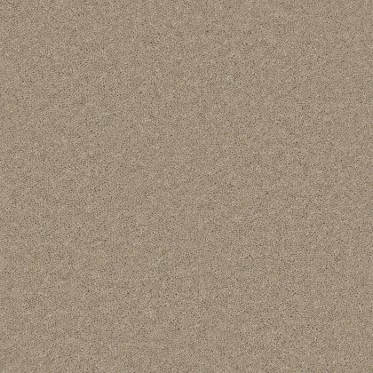 Timeless Deluxe Carpet in Tranquil Truffle Timeless Deluxe Carpet in Tranquil Truffle