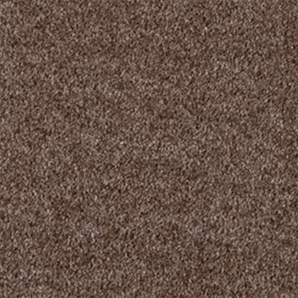 Yosemite Supreme Carpet in Havana