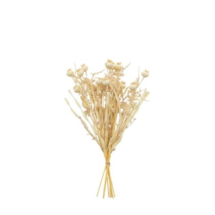 Gallery Direct 9 Piece Ivory Dry Look Poppy Bundle Gallery Direct 9 Piece Ivory Dry Look Poppy Bundle