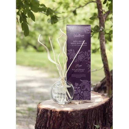 Potters Crouch Wellness Cheer Blackcurrant, Goji & Plum Diffuser Potters Crouch Wellness Cheer Blackcurrant, Goji & Plum Diffuser