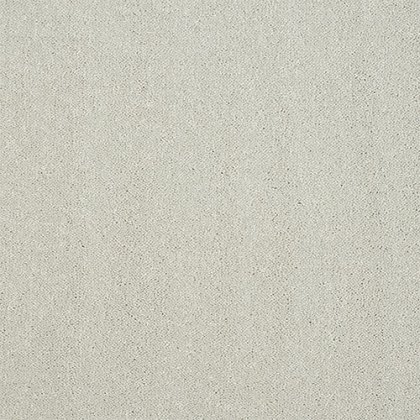 Captivation Carpet in Jewel Captivation Carpet in Jewel