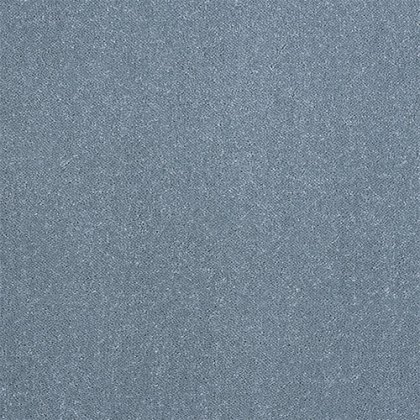 Captivation Carpet in Oceanside Captivation Carpet in Oceanside