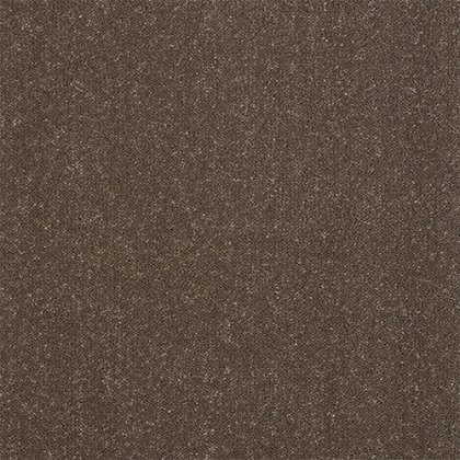 Captivation Carpet in Pentland Captivation Carpet in Pentland