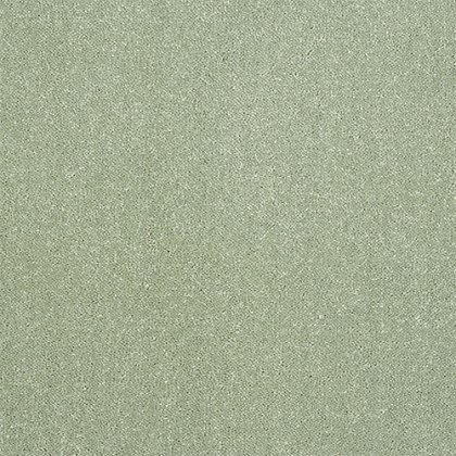 Captivation Carpet in Putting Green Captivation Carpet in Putting Green