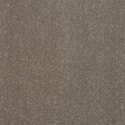Captivation Carpet in Seneca Rock Captivation Carpet in Seneca Rock