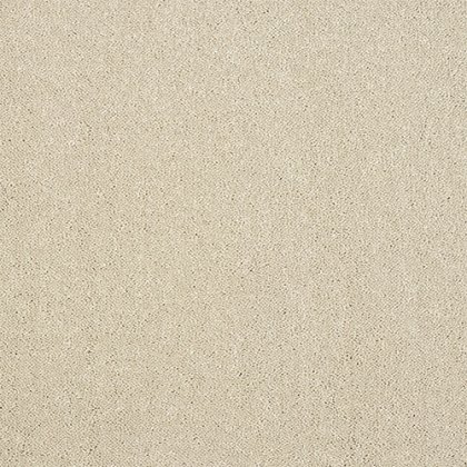 Captivation Carpet in Turtle Dove Captivation Carpet in Turtle Dove